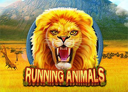 RTP Slot Running Animals