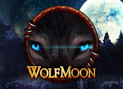 RTP Slot Wolf Moon