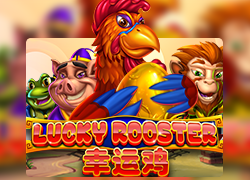 RTP Slot Lucky Rooster