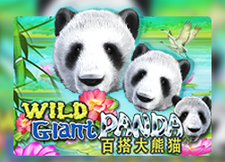 RTP Slot Wild Giant Panda