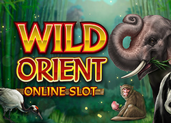 RTP Slot Wild Orient