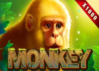 RTP Slot Monkey